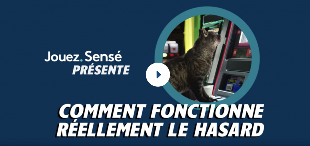 Comment fonctionne réellement le hasard? – chat assis à une machine à sous.