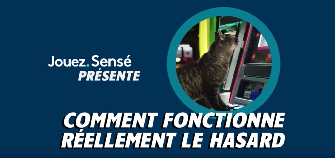 Comment fonctionne réellement le hasard? – chat assis à une machine à sous.